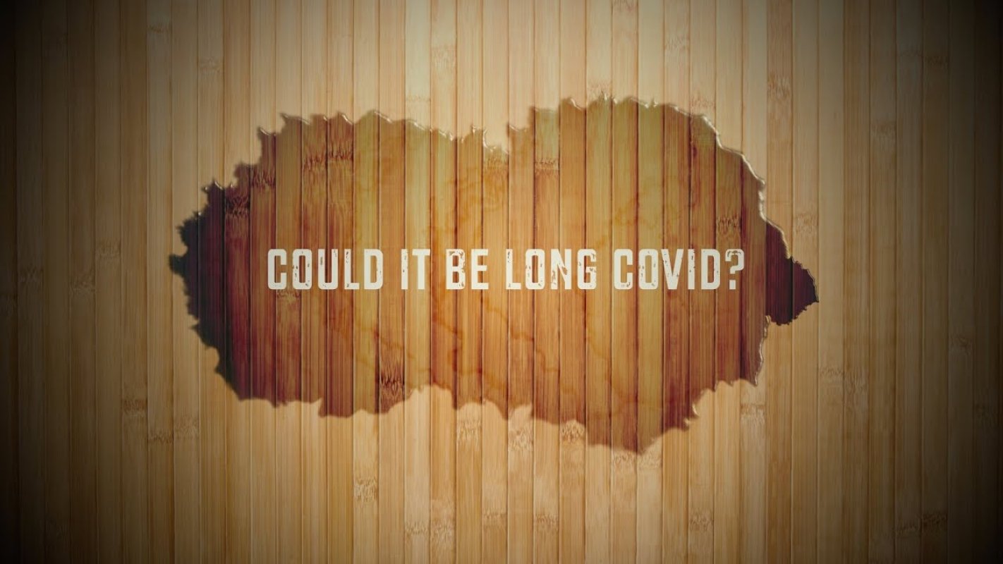 Thumbnail for Could it be Long Covid